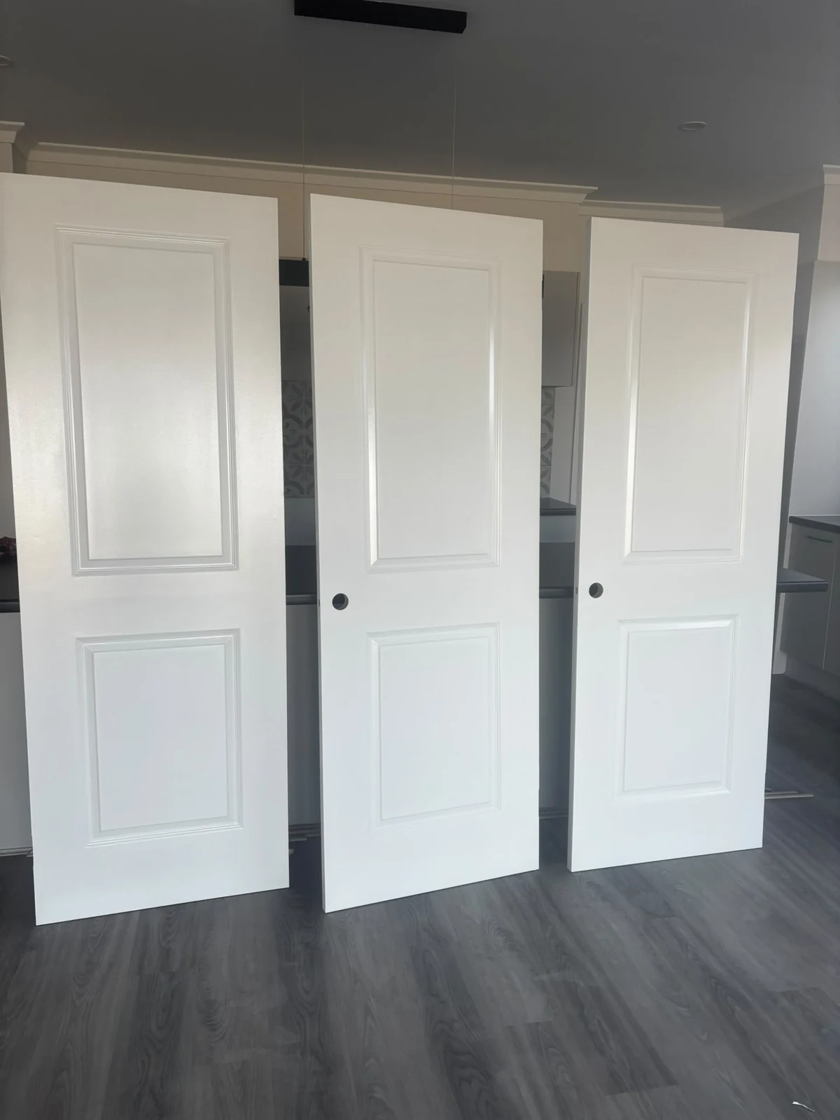 Pair of white panelled interior doors